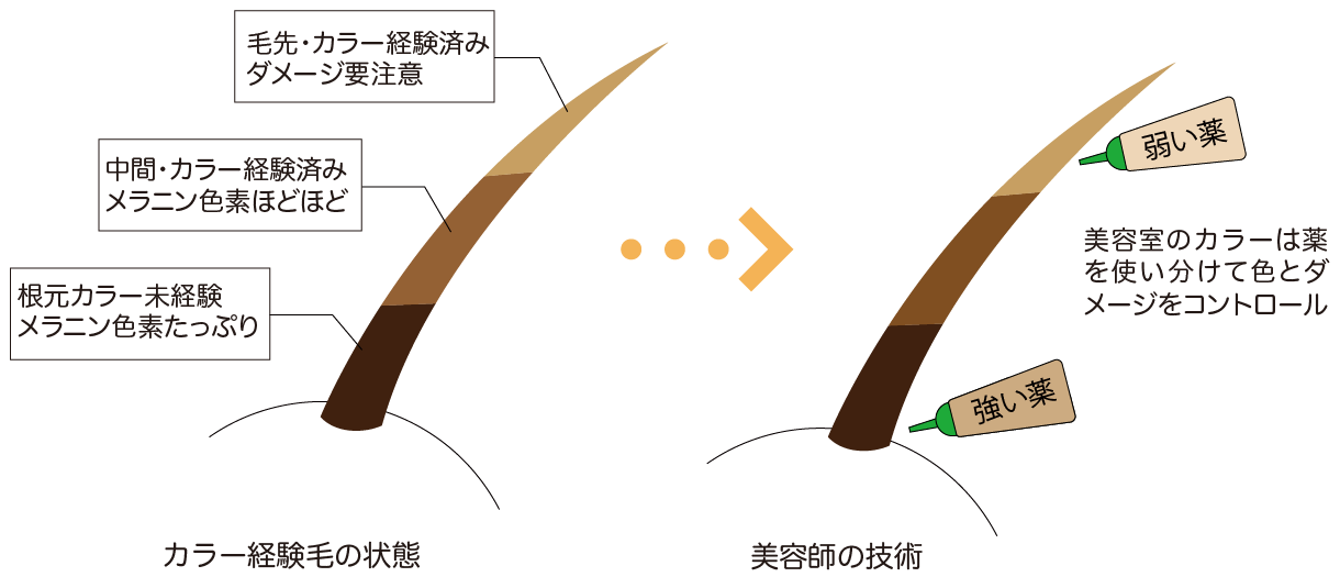 自分でカラーをすると髪が痛むというのは本当ですか 髪と地肌の研究所