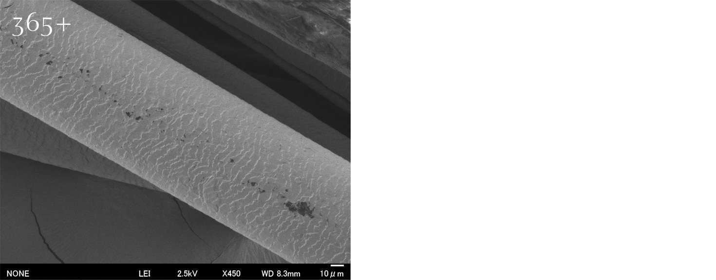 ベースメイクによって補修された髪の顕微鏡写真
